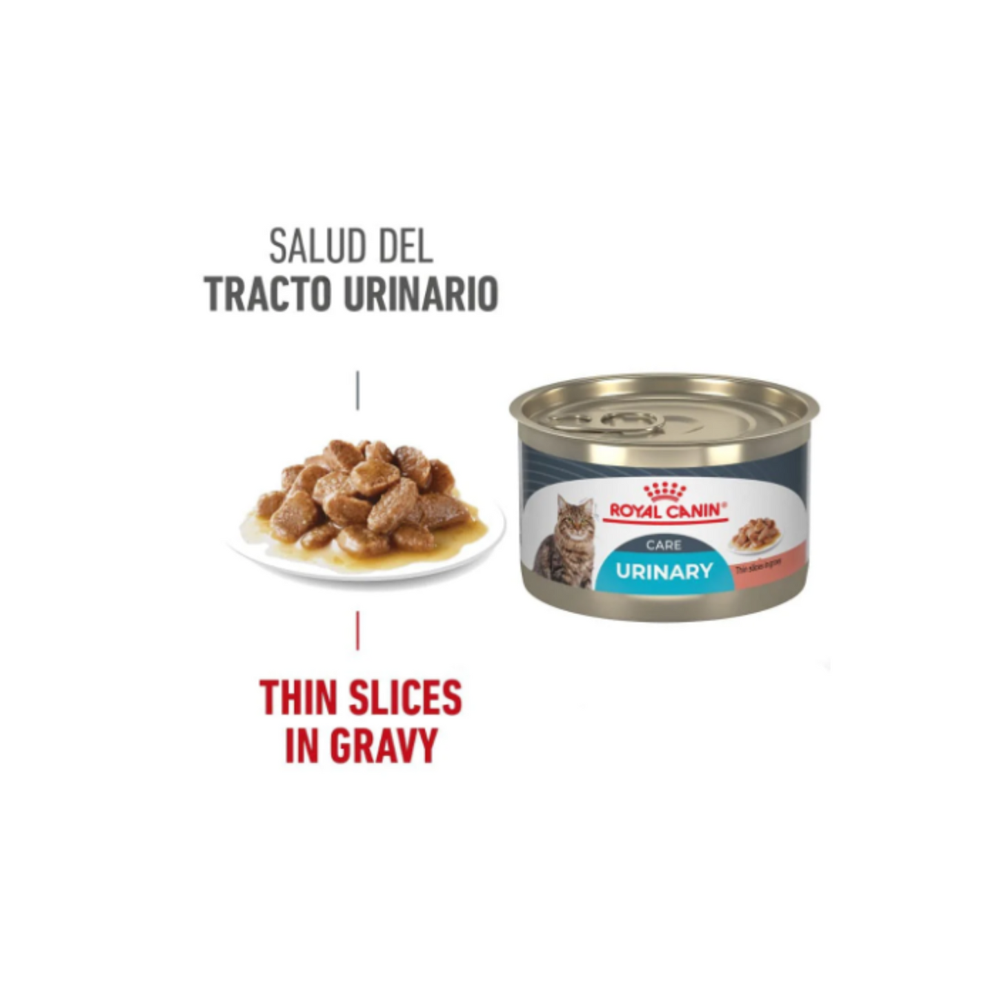24 Latas Royal Canin Urinary Gatos Care 145 gr