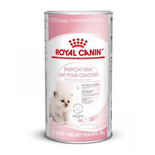 Royal Canin BabyCat Milk 300 gr