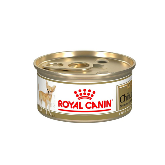 24 Latas Royal Canin Chihuahua Adult 85gr