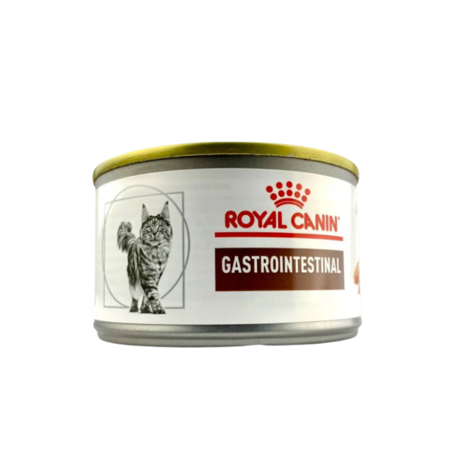 24 Latas Royal Canin Gastrointestinal High Energy Feline 145 gr