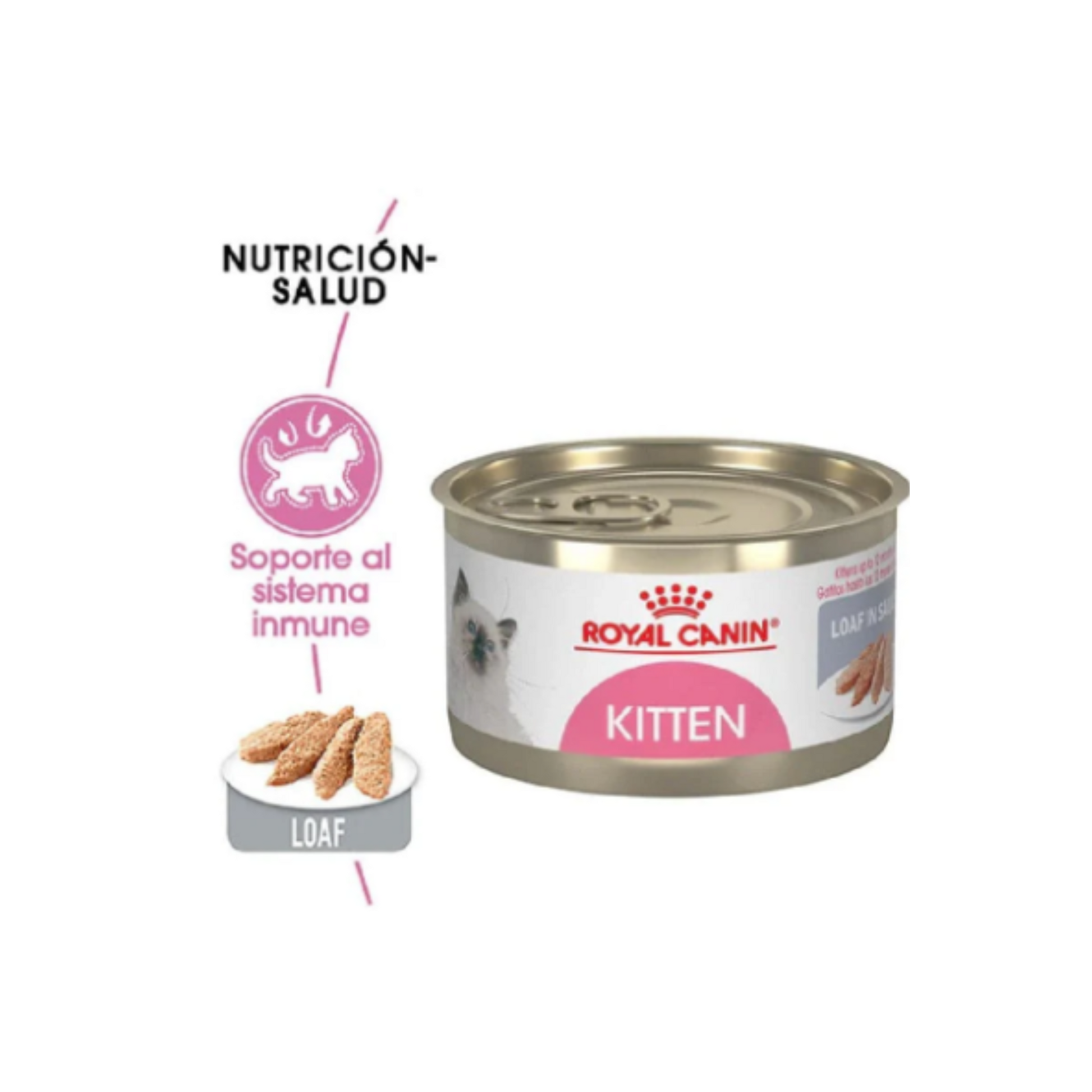 24 latas Royal Canin Kitten Loaf in Sauce sabor Pollo 145 gr