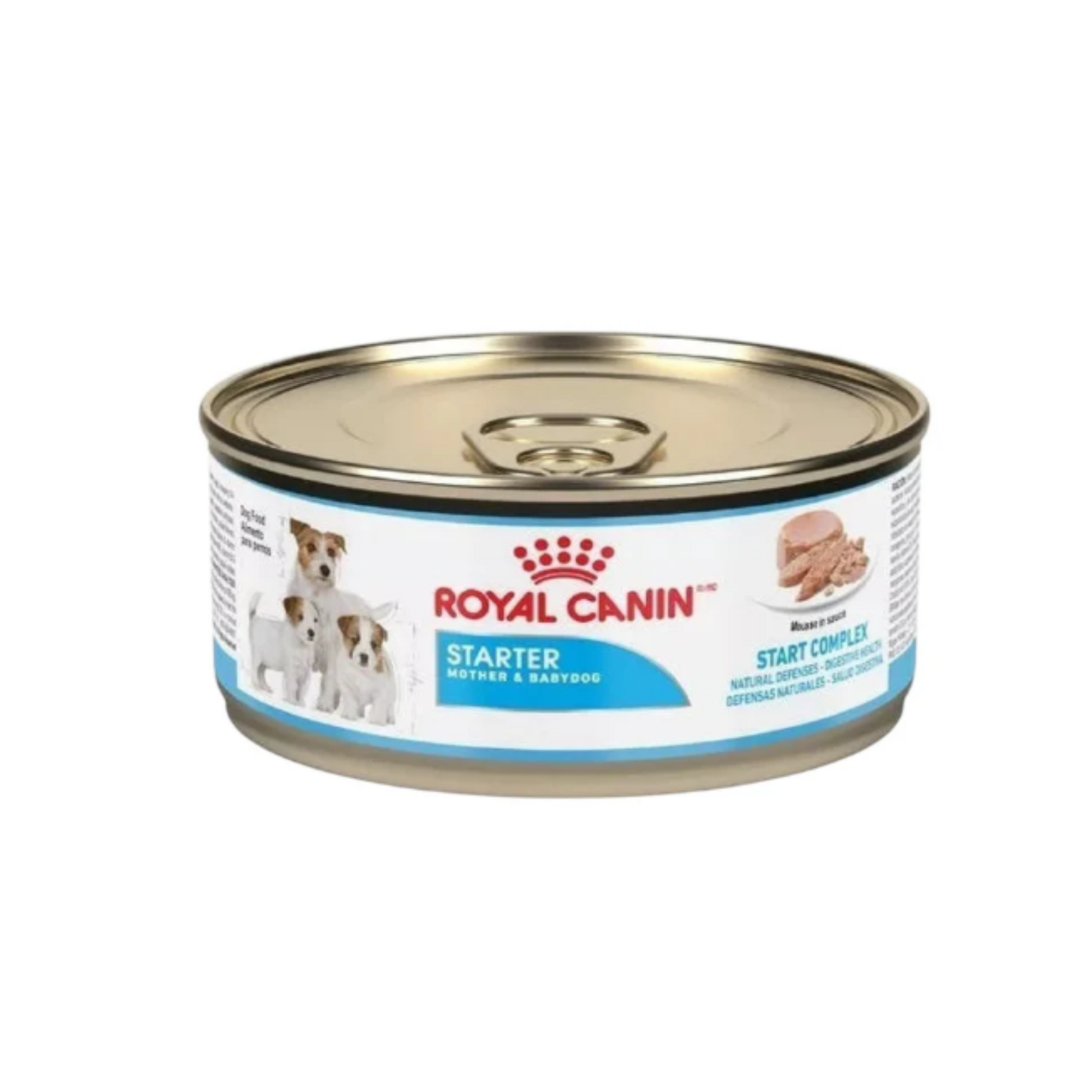Lata Royal Canin Starter Mother & Babydog Mousse 145gr