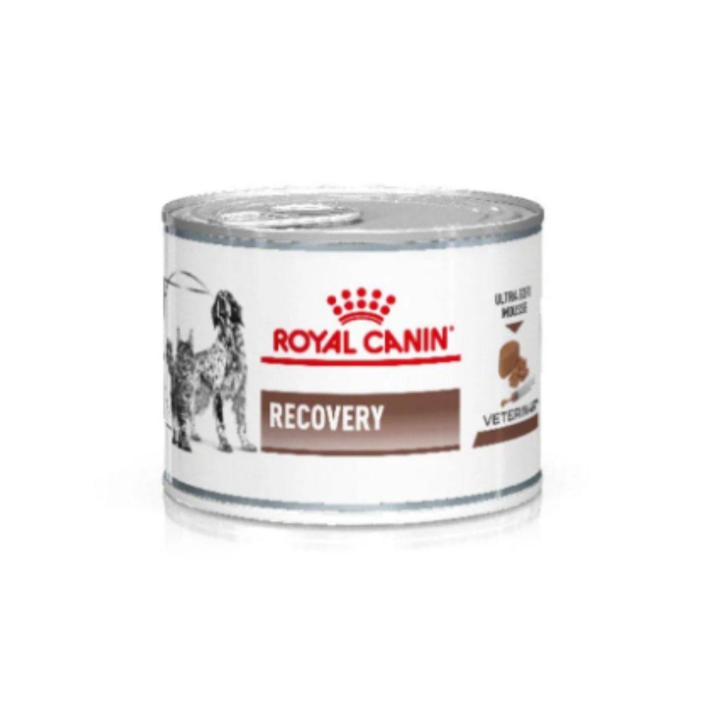 24 Latas Royal Canin Vet Perro y Gato Recovery 145 gr