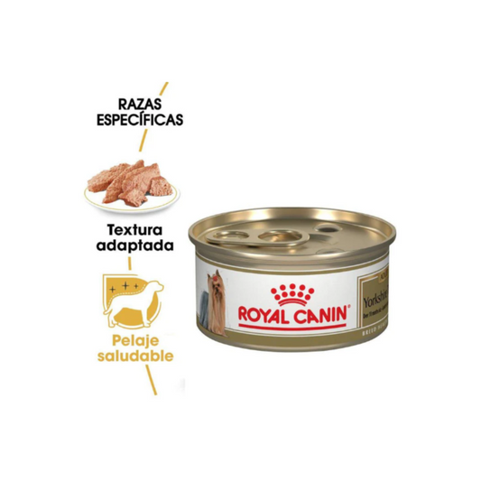 24 Latas Royal Canin Yorkshire Adult Loaf in Sauce 85 gr